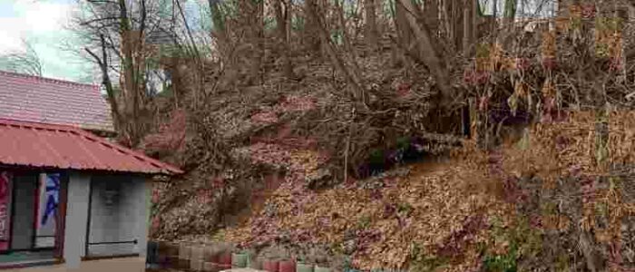 FB_IMG_1769615496238