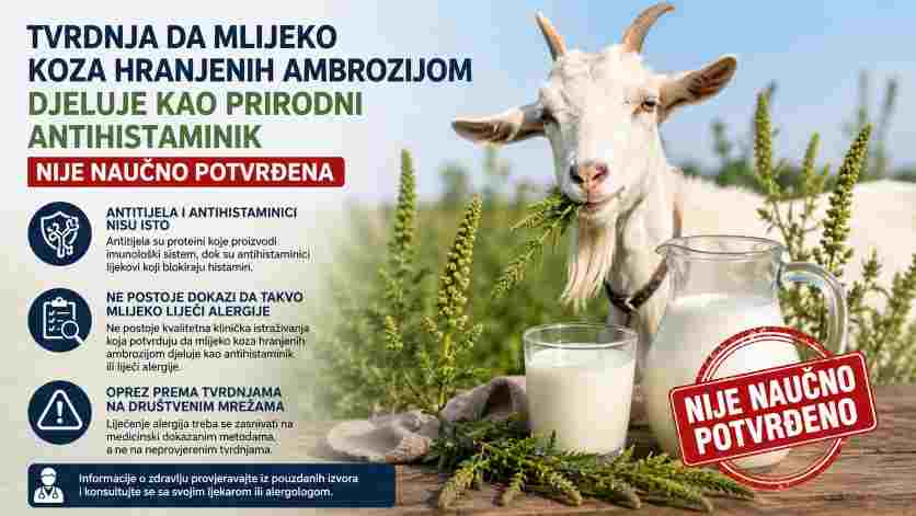 Tvrdnja da mlijeko koza hranjenih ambrozijom djeluje kao prirodni antihistaminik nije naučno potvrđena
