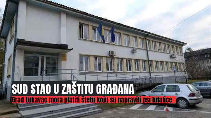 Presuda Općinskog suda u Lukavcu: Građani nisu sami – Grad odgovara za štetu od pasa lutalica